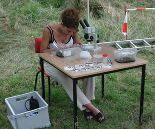 Examination of archaeo-botanical samples in the Iron-Age fortress of Biehla, near Kamenz. Examination of archaeo-botanical samples in the Iron-Age fortress of Biehla, near Kamenz.
