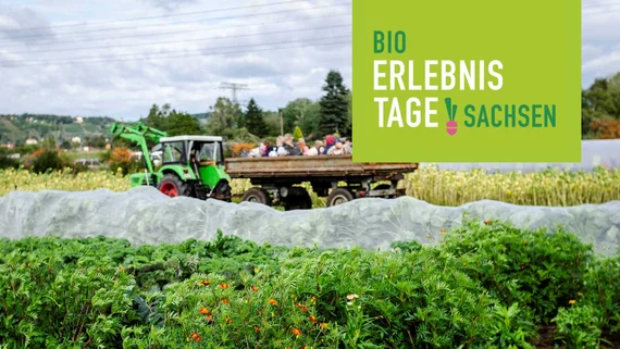 Bio-Erlebnistage Sachsen: Ein Traktor fährt auf einem Gemüse-Acker. Im Traktoranhänger sitzen Personen. Schriftzug: Bio-Erlebnistage Sachsen.