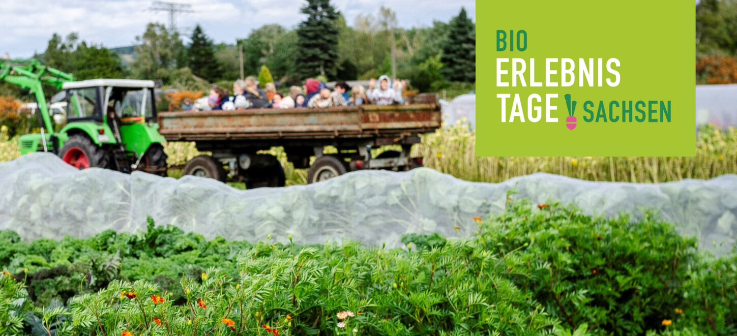 Bio-Erlebnistage Sachsen: Ein Traktor fährt auf einem Gemüse-Acker. Im Traktoranhänger sitzen Personen. Schriftzug: Bio-Erlebnistage Sachsen.