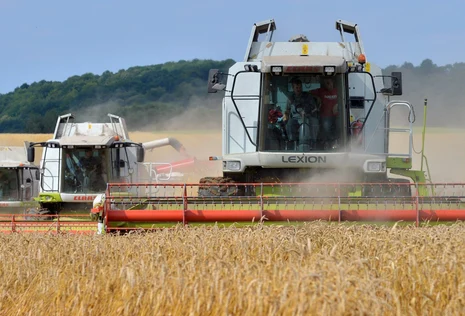 Zwei M&auml;hdrescher bei der Ernte auf einem Kornfeld