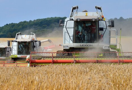 Zwei Mähdrescher bei der Ernte auf einem Kornfeld